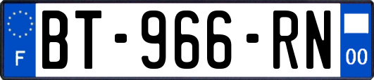 BT-966-RN