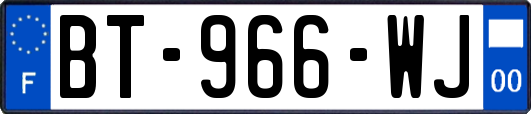 BT-966-WJ