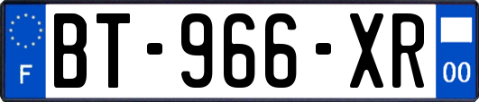 BT-966-XR