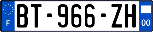 BT-966-ZH