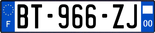 BT-966-ZJ