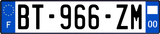 BT-966-ZM