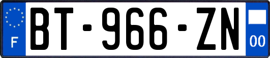 BT-966-ZN