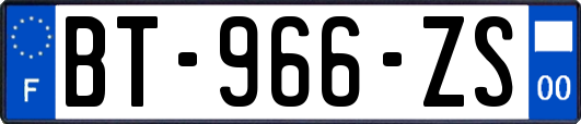 BT-966-ZS