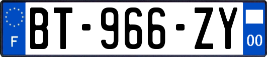 BT-966-ZY