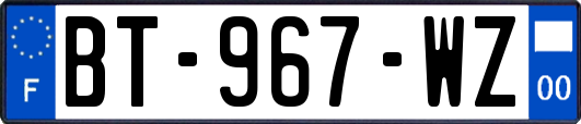 BT-967-WZ