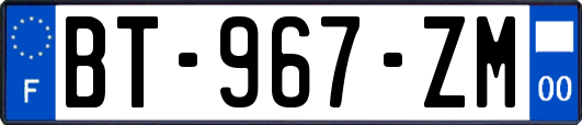 BT-967-ZM