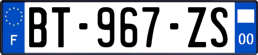 BT-967-ZS