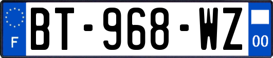 BT-968-WZ