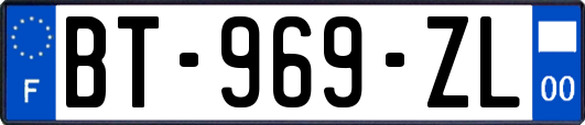 BT-969-ZL