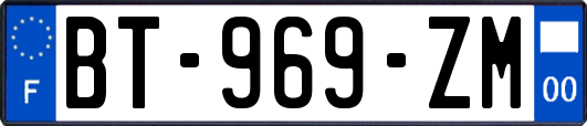 BT-969-ZM