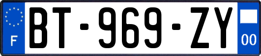 BT-969-ZY