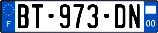 BT-973-DN