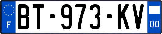 BT-973-KV