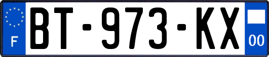 BT-973-KX