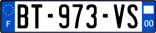 BT-973-VS