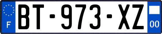 BT-973-XZ