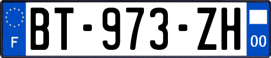 BT-973-ZH