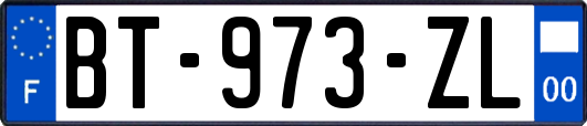 BT-973-ZL