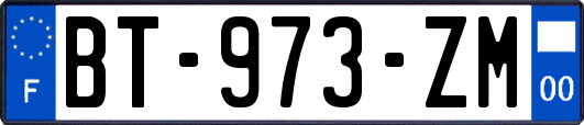 BT-973-ZM