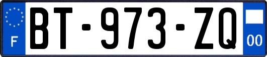 BT-973-ZQ