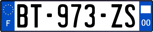 BT-973-ZS