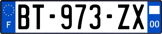 BT-973-ZX