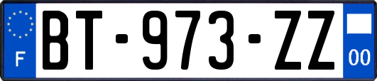 BT-973-ZZ