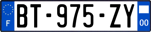 BT-975-ZY