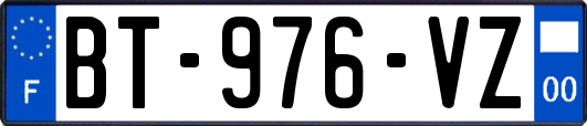 BT-976-VZ