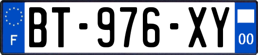 BT-976-XY