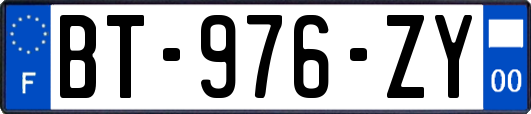 BT-976-ZY