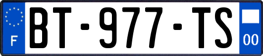 BT-977-TS