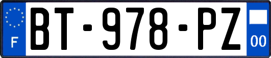 BT-978-PZ