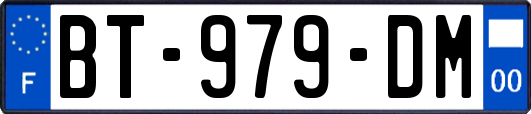 BT-979-DM
