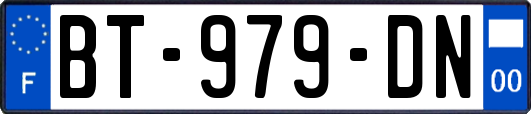BT-979-DN