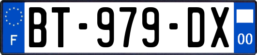 BT-979-DX