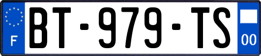 BT-979-TS