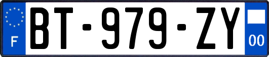 BT-979-ZY