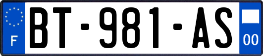 BT-981-AS