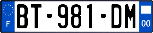 BT-981-DM