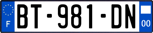 BT-981-DN