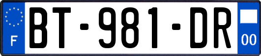 BT-981-DR