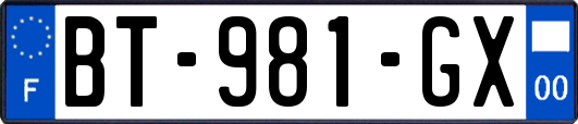 BT-981-GX