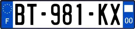 BT-981-KX