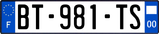 BT-981-TS