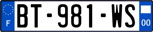 BT-981-WS