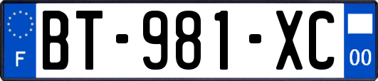 BT-981-XC