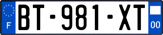 BT-981-XT