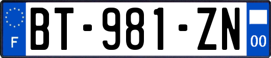 BT-981-ZN